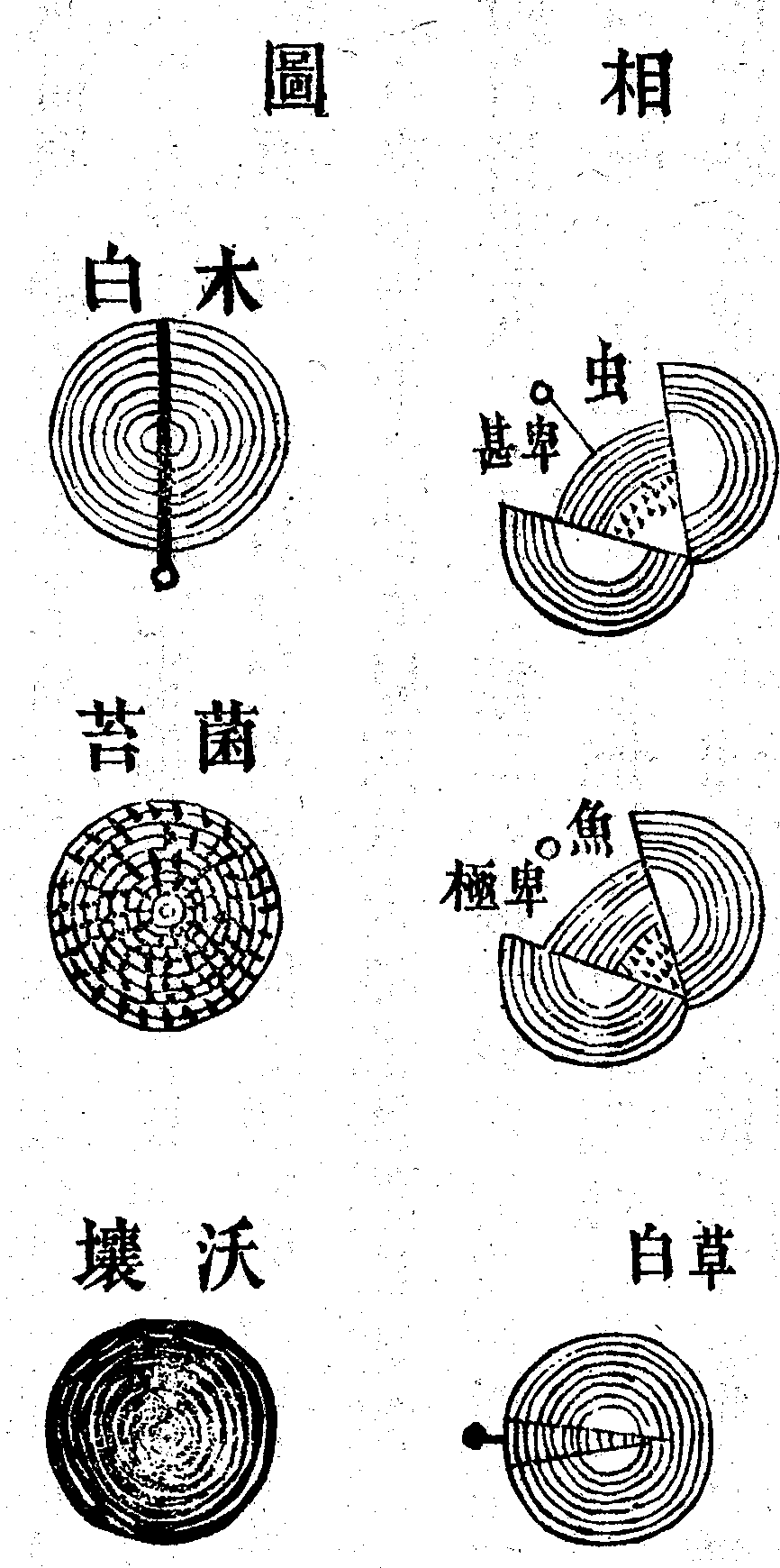 Scan0094