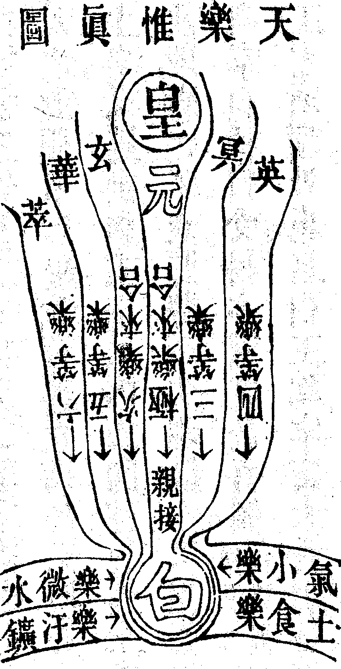 Scan0102