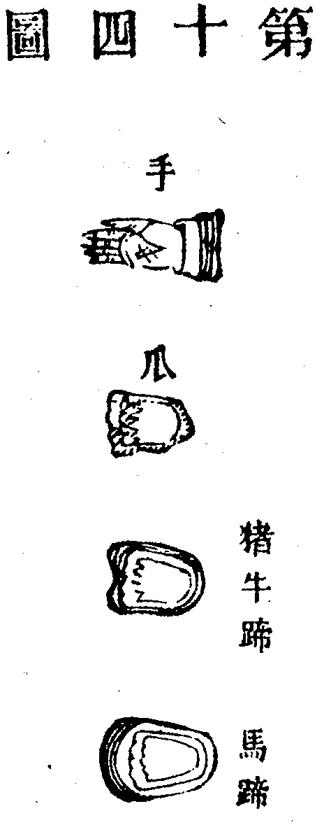Scan0121