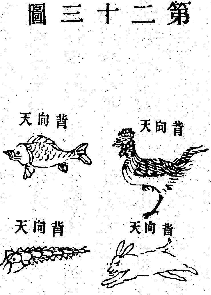 Scan0130