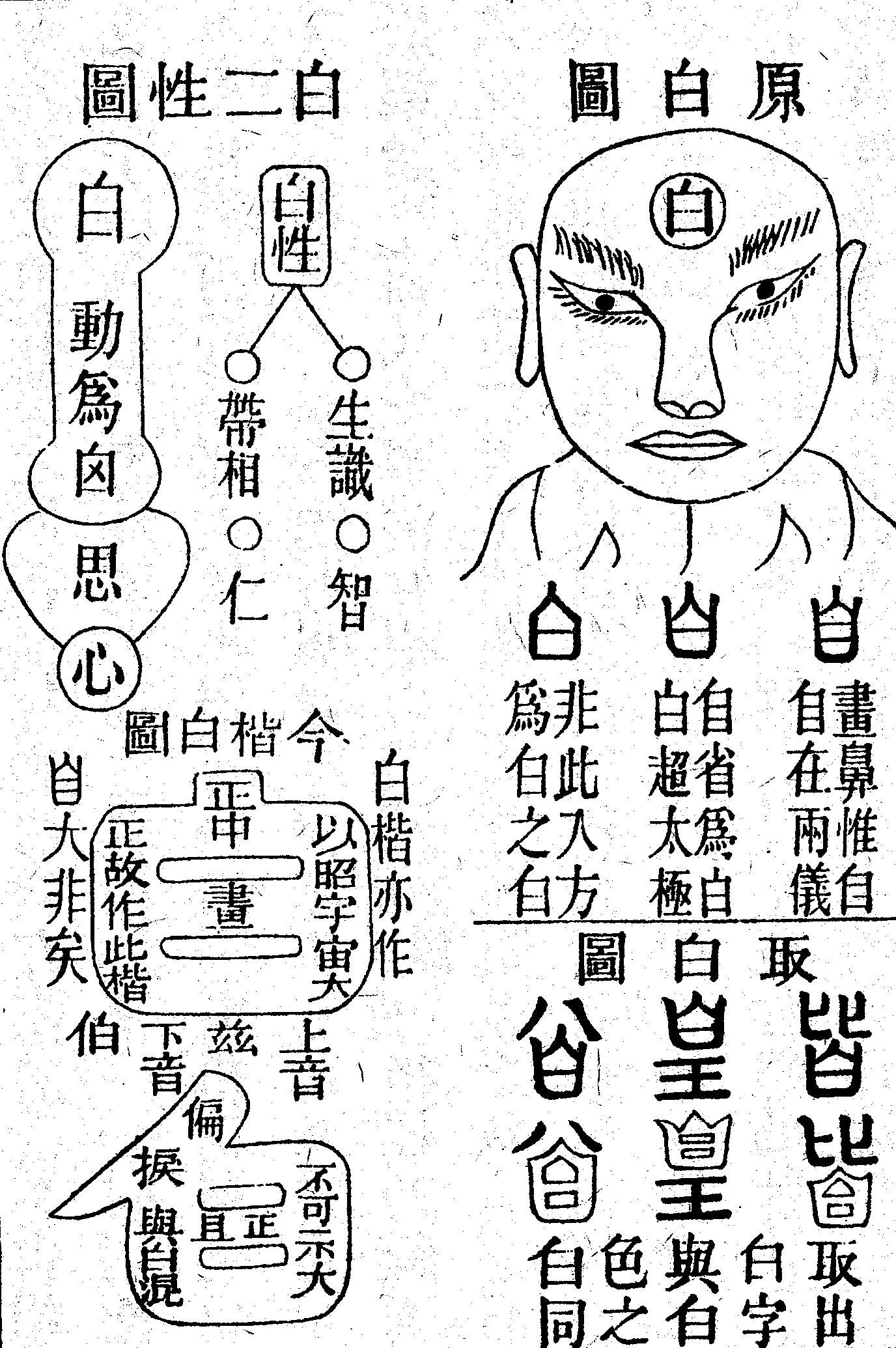 Scan0046