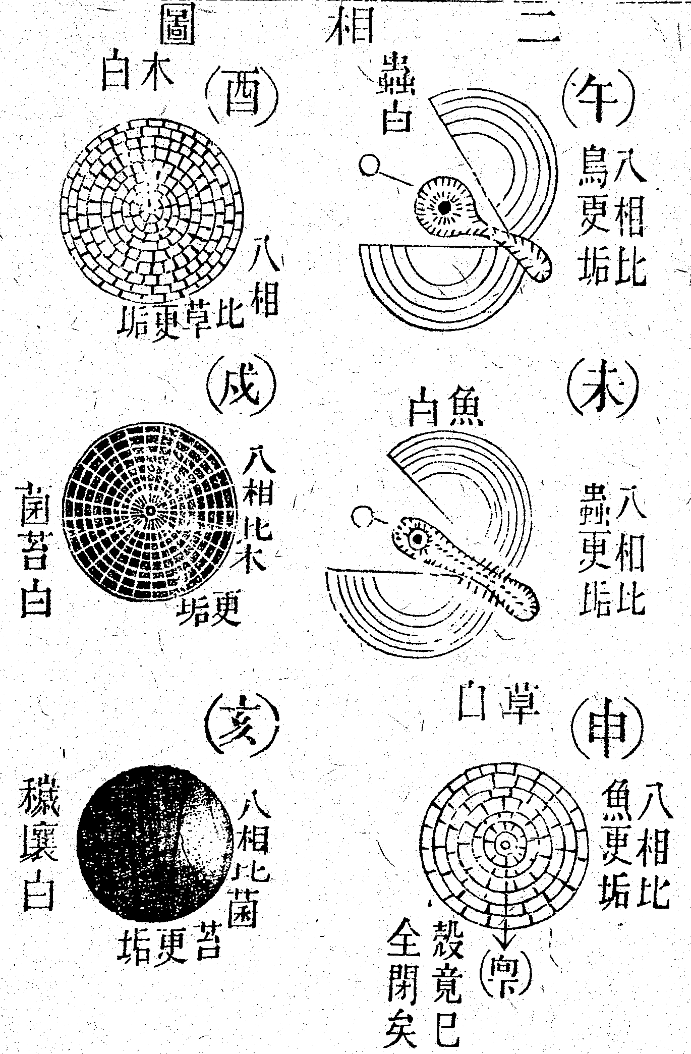 Scan0186