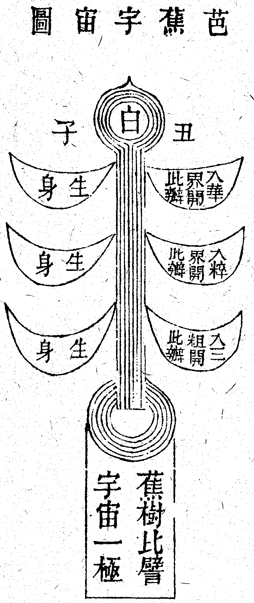 Scan0205
