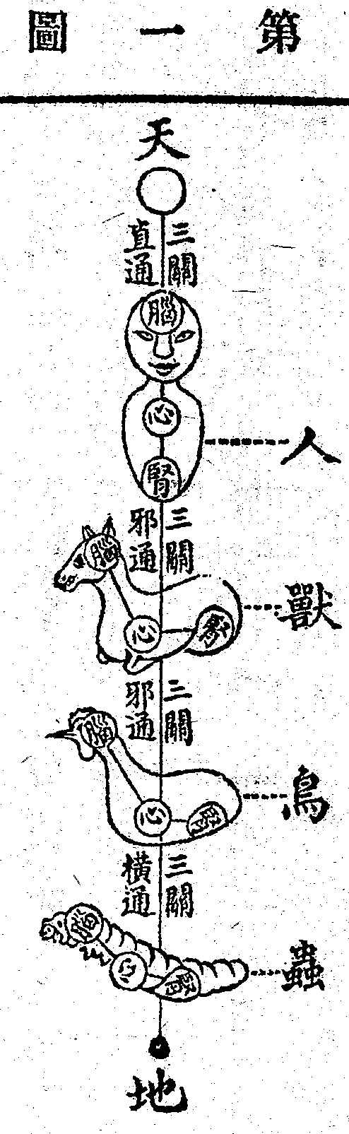 Scan0215