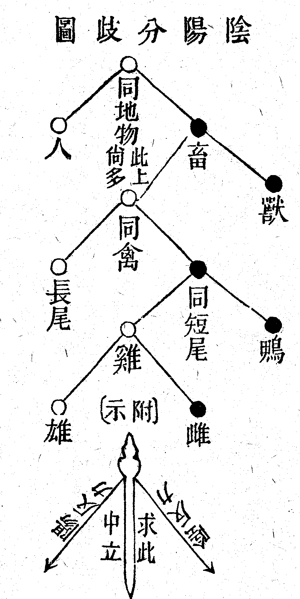 Scan0057