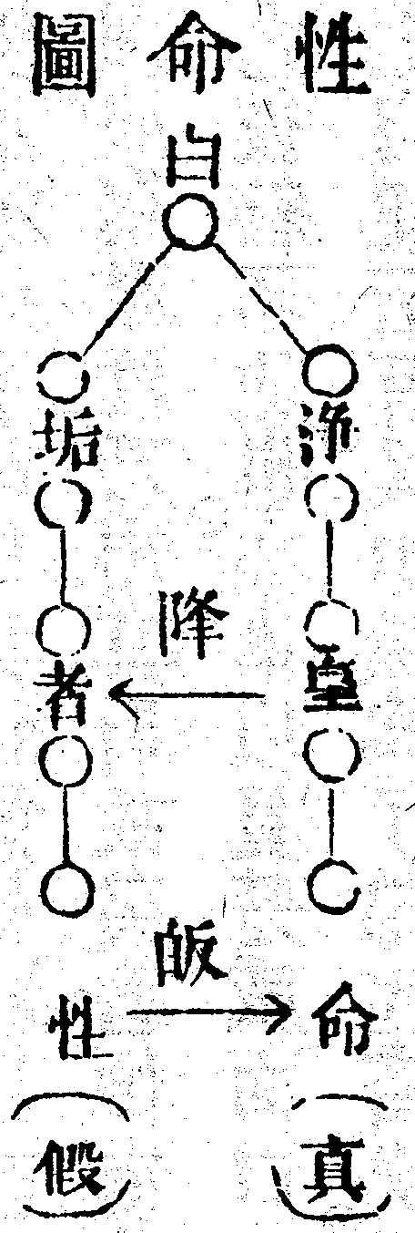 Scan0149