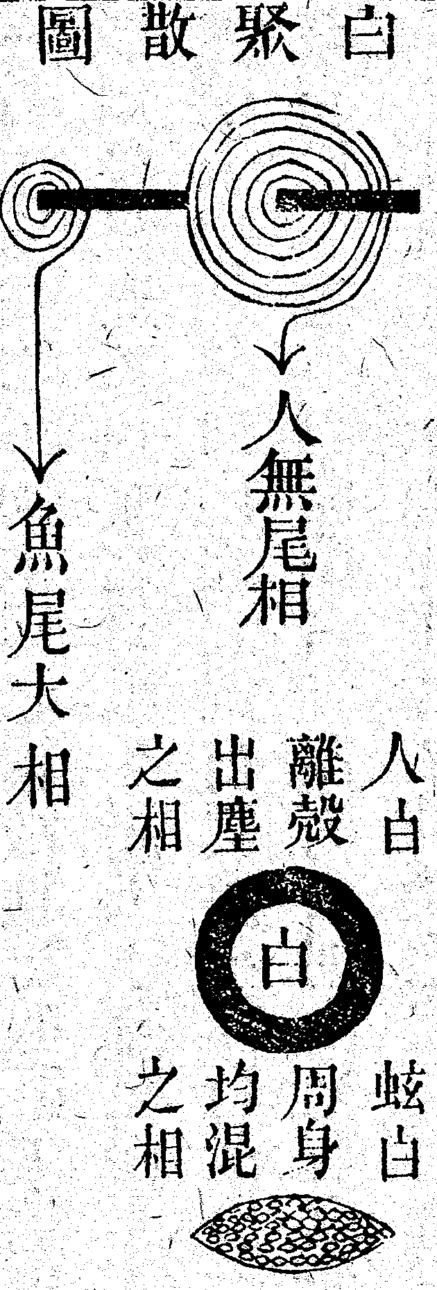 Scan0168