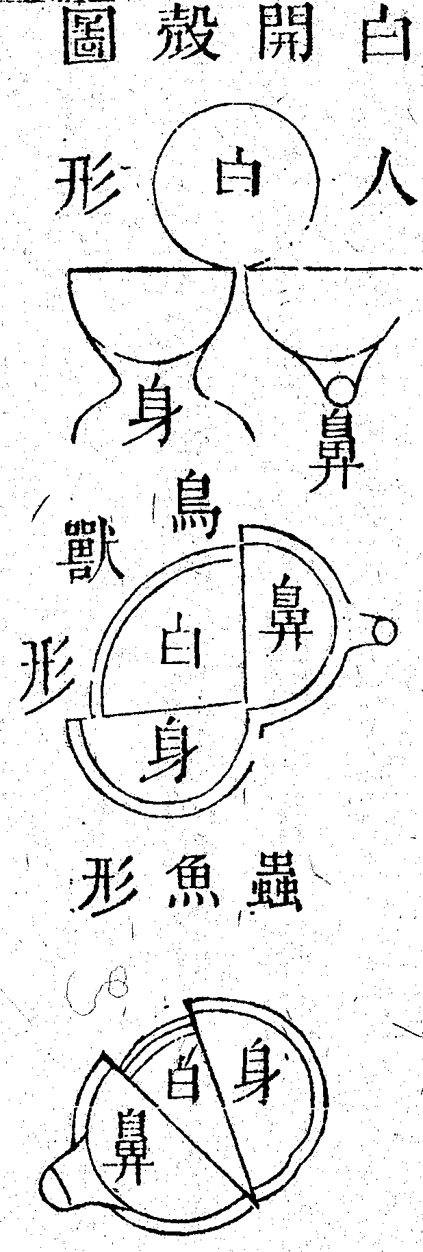 Scan0177