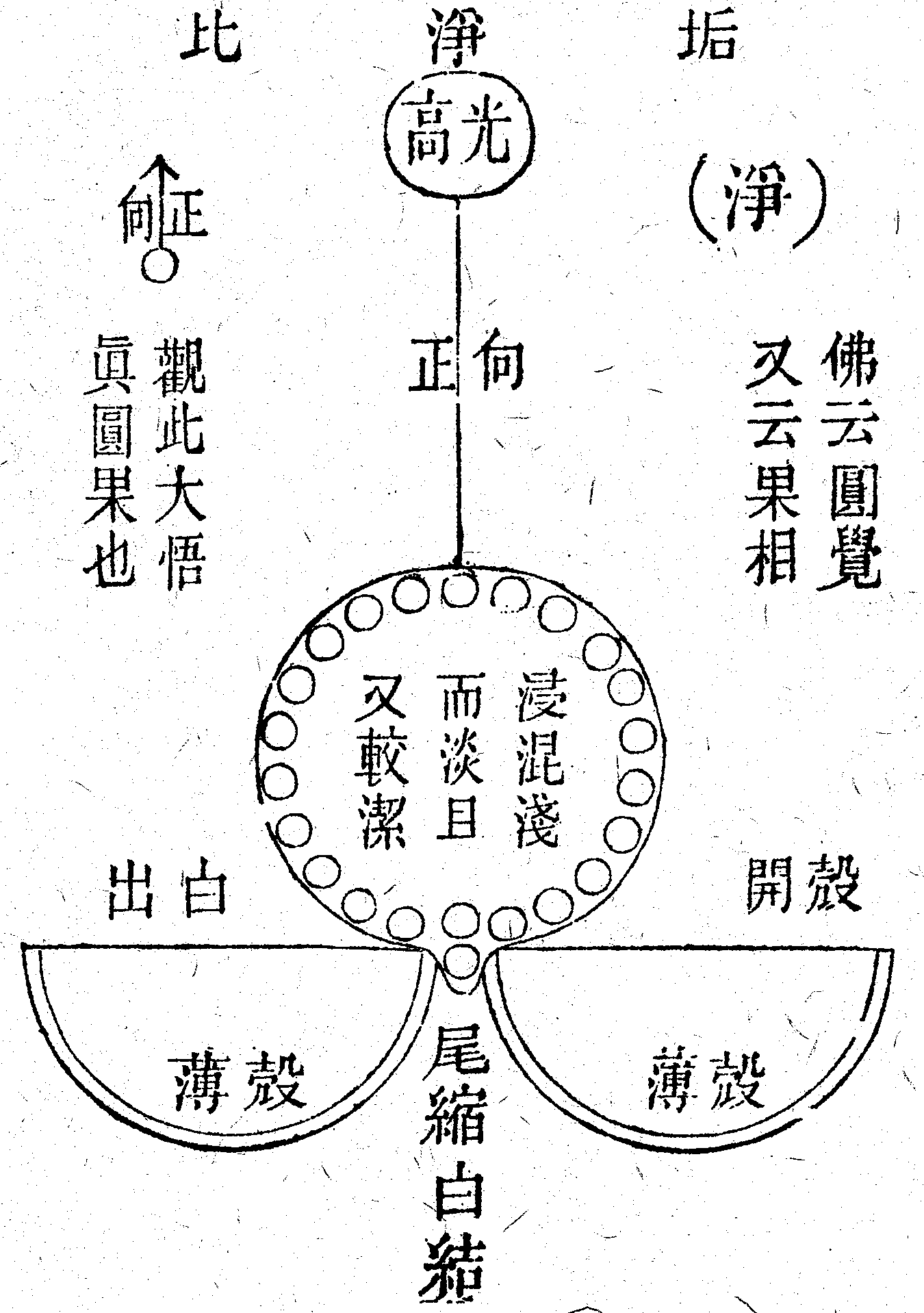 Scan0183