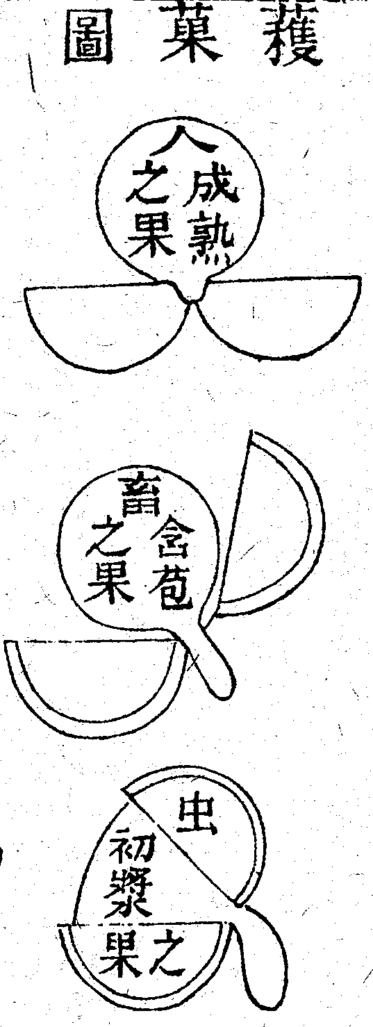 Scan0189