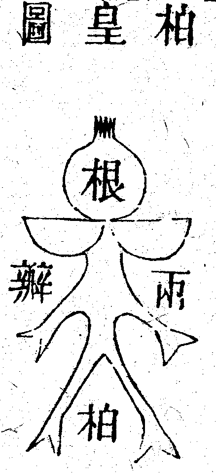 Scan0208